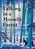 Talking in a Moonlit Forest