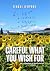 Careful What You Wish For by Fergal O'Byrne Careful What You Wish For by Fergal O'Byrne