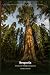 Sequoia: A Nature & Wildlif...
