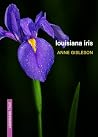 Louisiana Iris (Louisiana True) Louisiana Iris (Louisiana True)
