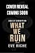 What We Ruin: a dark billio...