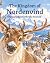 The Kingdom of Nordenvind: ...