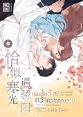 แผนรักร้ายคว้าหัวใจคุณสามี เล่ม 9
