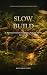 Slow Build: A Practical Gui...