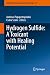 Hydrogen Sulfide: A Toxican...