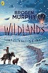 Into the Storm by Brogen Murphy Into the Storm by Brogen Murphy