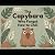 The Capybara Who Forgot How...