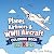 Planes, Airliners & WWII Ai...