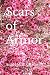 Scars of Armor