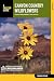 Canyon Country Wildflowers by Damian Fagan