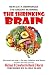The Shrinking Brain: The Role of the Environment in Its Evolution and Future