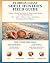 FLORIDA COAST SHELL HUNTER'...