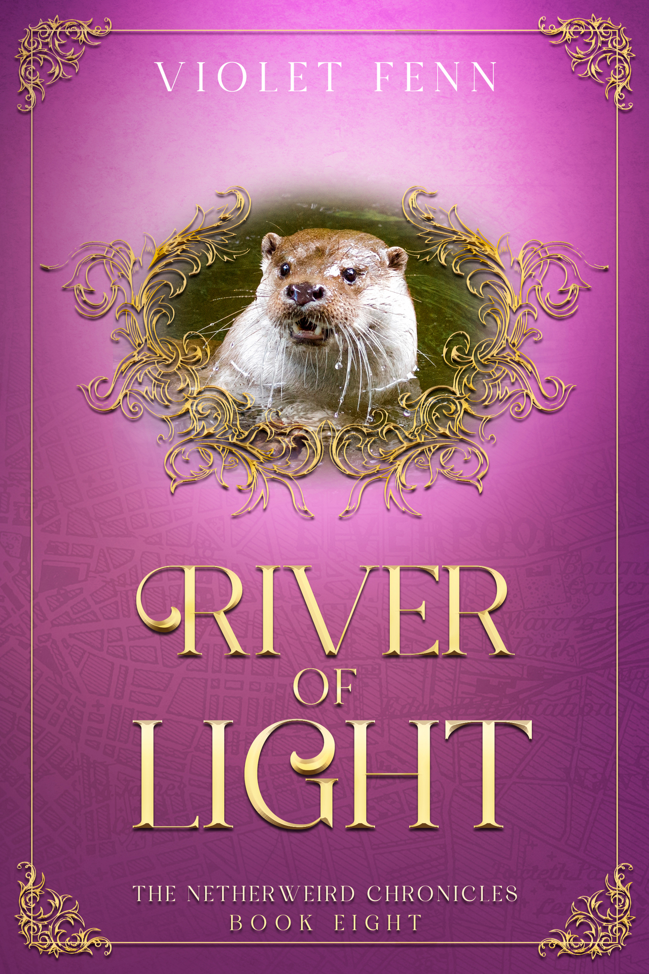 Read River of Light (The Netherweird Chronicles, #8)