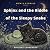 Sphinx and the Riddle of th...
