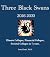 Three Black Swans: 2026-203...