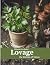 Lovage, The Kitchen of Venus