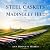 The Steel Caskets on Madingley Hill by Ann Doggett- Harris