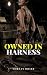 Owned in Harness: Ponygirl ...