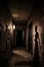 THE SHADOW OF THE AX: The T...