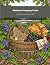 Midwest Foraging Finds: A N...