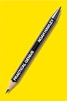 Practical Genius: A Creative's Guide to Business and Life Practical Genius: A Creative's Guide to Business and Life