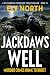 Jackdaws Well (A DCI Finneg...