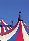 Circus Governance...