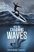 Into the Crashing Waves
