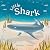 Little Shark