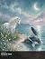 Color Quest: Unicorn Cove: ...
