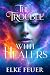 The Trouble with Healers  by Elke Feuer