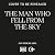 The Man Who Fell From the Sky