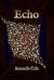 Echo (Book #3 of the Riddle...