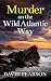 MURDER ON THE WILD ATLANTIC WAY a BRAND-NEW Irish detective m... by David  Pearson