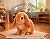 Cinnabun Bunny Learns to Be...