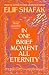 In One Brief Moment All Eternity