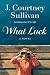 What Luck: A Novel