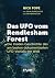 Das UFO vom Rendlesham Fore...