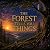 The Forest Tells You Things