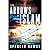 A spy novel in the Ari Cohe...