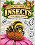 The Hidden World of Insects...