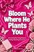 Bloom Where He Plants You: ...