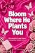 Bloom Where He Plants You: ...