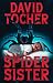 Spider Sister by David Tocher