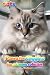 Paws for Giggles (Cats): Fu...