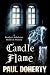 CANDLE FLAME an absolutely ...