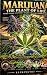 Marijuana: The Plant of Life