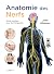 Anatomie des nerfs - Guide ...