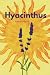 Hyacinthus: (Edición Especial)