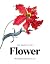 The Book of the Flower: Flo...